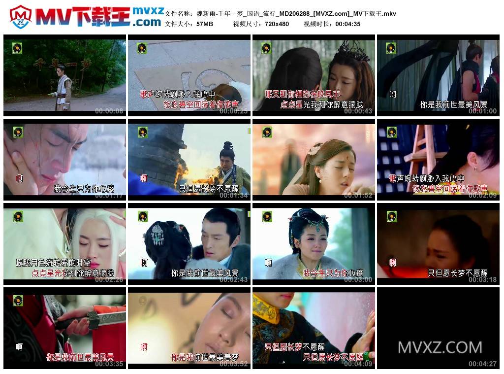 魏新雨-千年一梦_国语_流行_MD206288